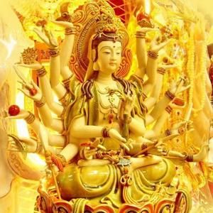 Meet your Posher, Vicky